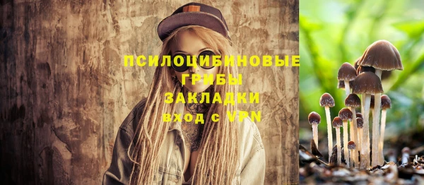 дмт Алзамай