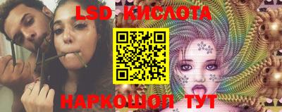 стафф Донской