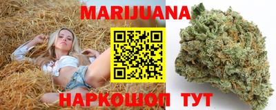 стафф Донской