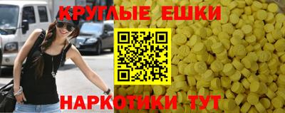 стафф Донской