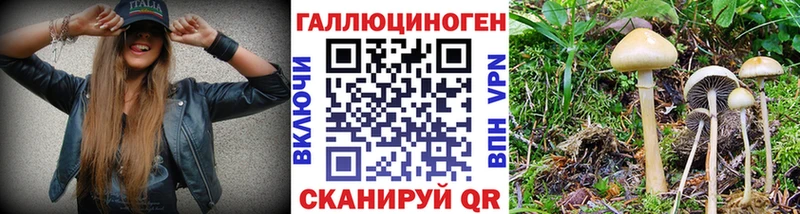 Псилоцибиновые грибы MAGIC MUSHROOMS  Крымск 