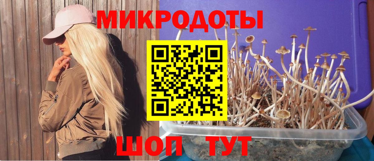 Псилоцибиновые грибы Magic Shrooms  Вход с VPN  Крымск 