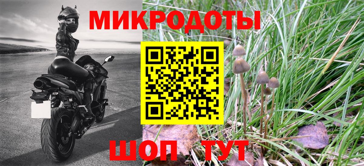 Псилоцибиновые грибы Cubensis Крымск